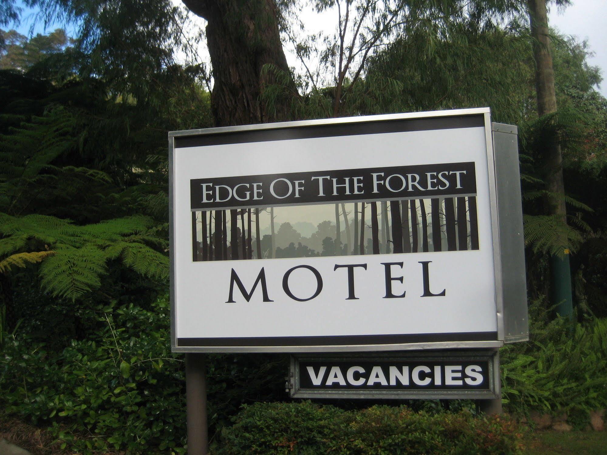 Edge Of The Forest Motel Margaret River Εξωτερικό φωτογραφία